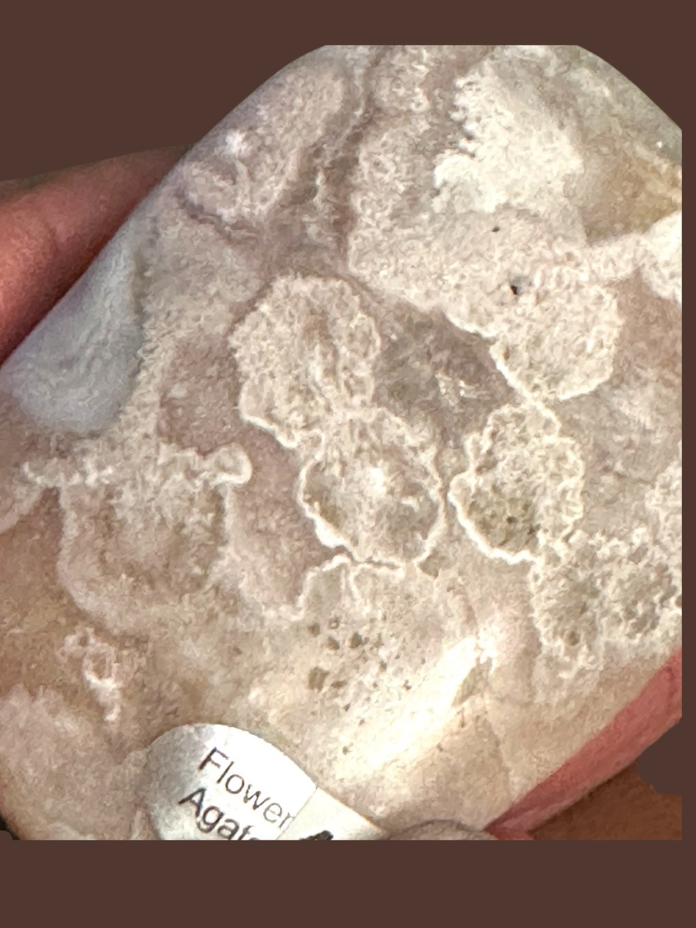 Flower Agate Crystal with Druzy Palm Stone - Picture 2 of 6